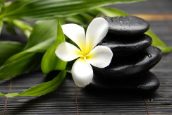 245664__spa-still-life_p