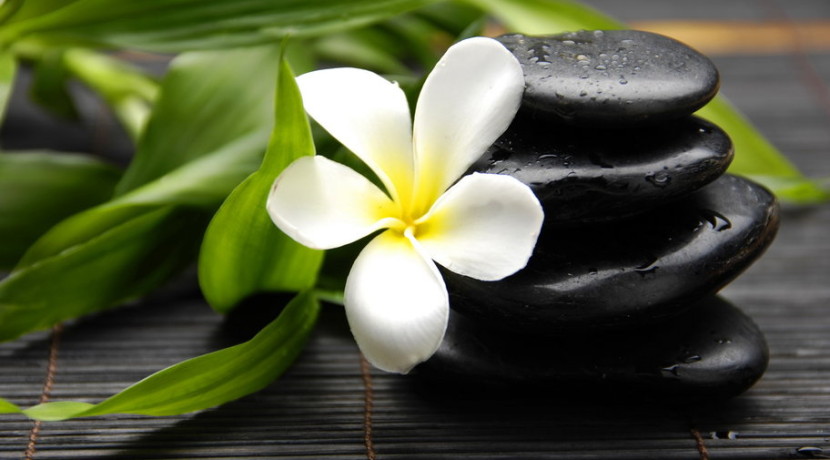 245664__spa-still-life_p