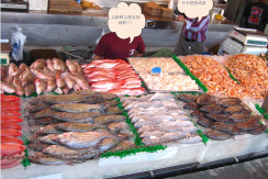 fish-market-07-01